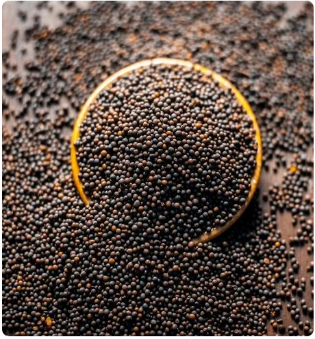 Mustard Seeds